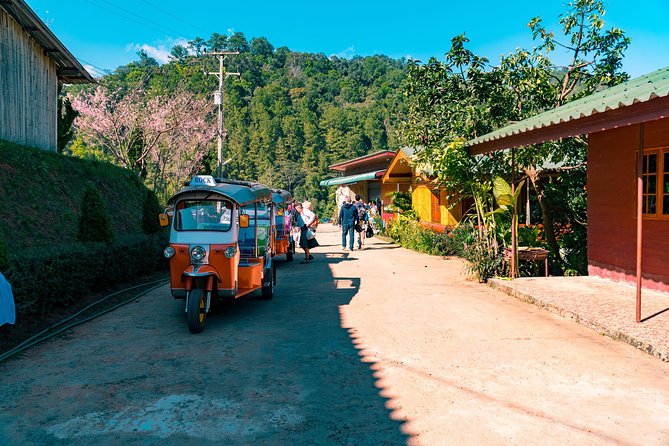 Full-Day Guided Tuk Tuk Chiang Mai Adventure and Rafting - Lunch keeps the day moving