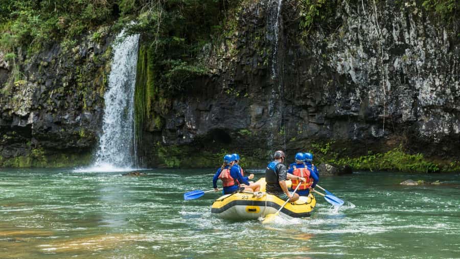 Full Day White Water Rafting From Cairns or Mission Beach - Key points to know before you book