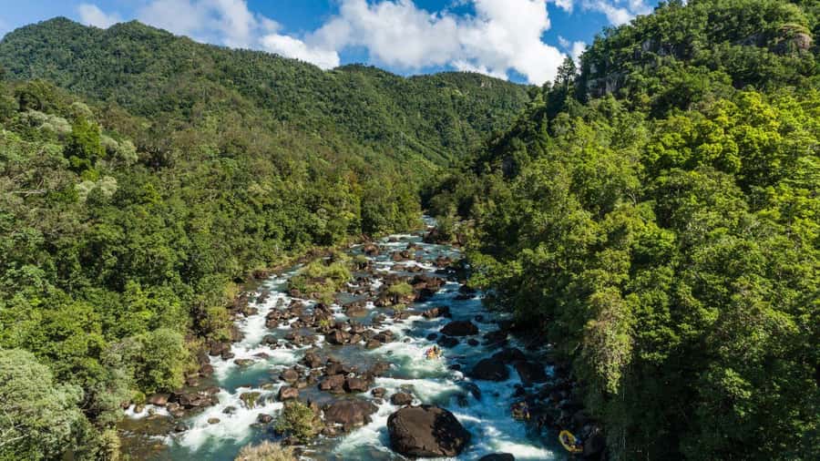 Full Day White Water Rafting From Cairns or Mission Beach - Three hours of rapids, swims, and rainforest