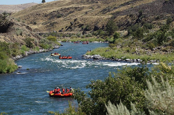 Full Day Whitewater Rafting - Deschutes River - High-desert scenery, birds, and river stories
