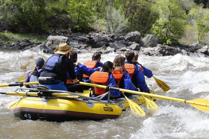 Glenwood Springs Half-Day Rafting Trip - Equipment, comfort, and the return to base