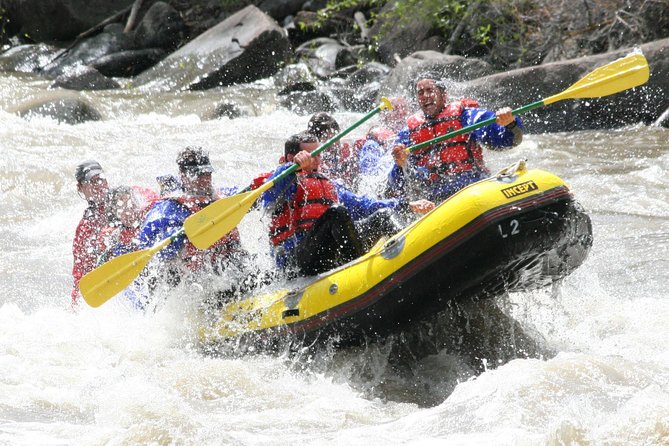 Glenwood Springs Half-Day Rafting Trip - Who should book this Glenwood Springs trip?