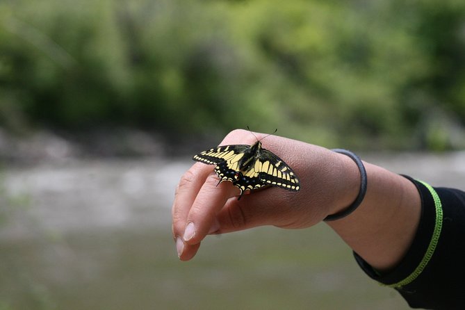 Glenwood Springs Half-Day Rafting Trip - Practical tips for a better day