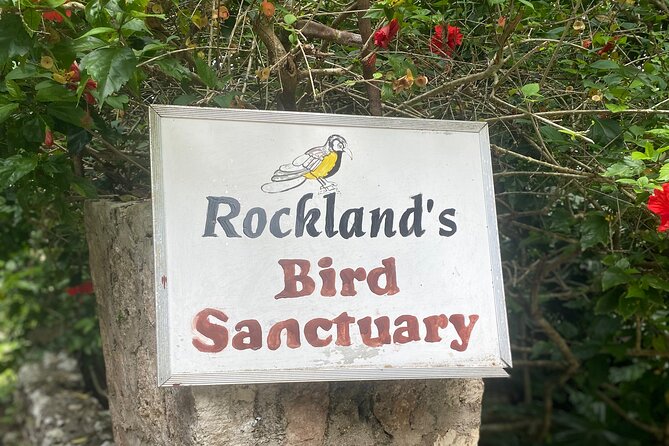 Great River Bamboo Rafting and Bird Sanctuary Combine Tour From Montego Bay - Private transportation from Montego Bay