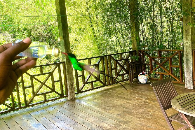 Great River Bamboo Rafting and Bird Sanctuary Combine Tour From Montego Bay - How the $120 price makes sense
