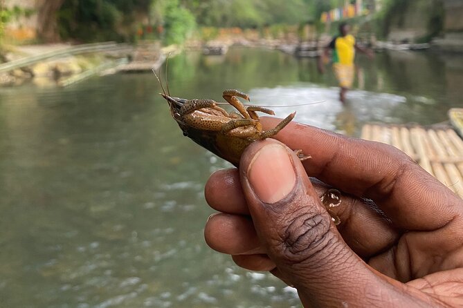 Great River Rafting - Limestone Foot Massage and ATV Rides From Montego Bay - What the $120 price includes