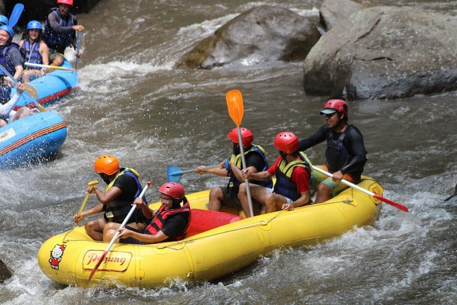 Green Bali Rafting Ticket And Transfer - Indonesian lunch at the finish point