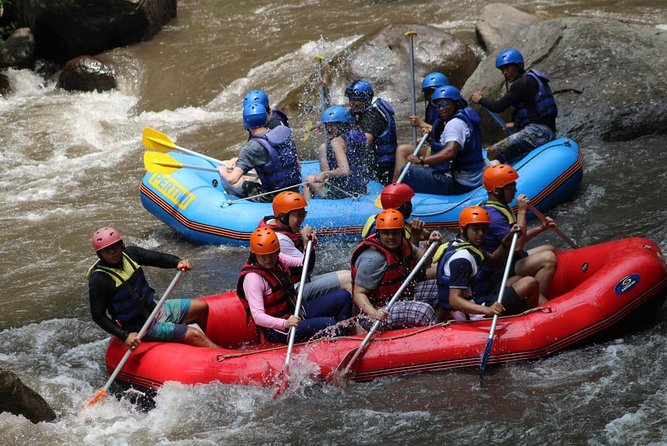 Green Bali Rafting Ticket And Transfer - Who will enjoy this most?