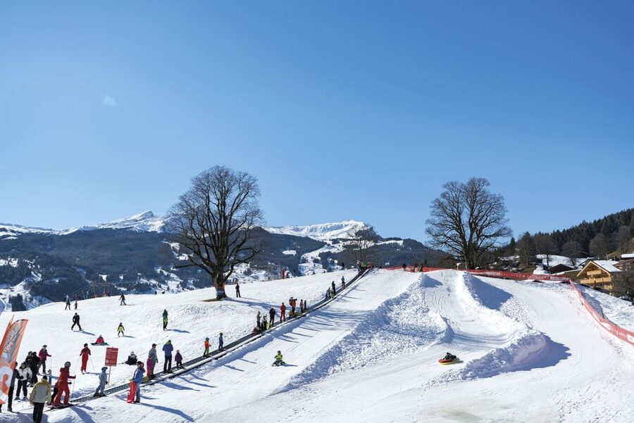 Grindelwald: Sledding at Bodmi Arena - More than sleds, but not an all-inclusive snow pass