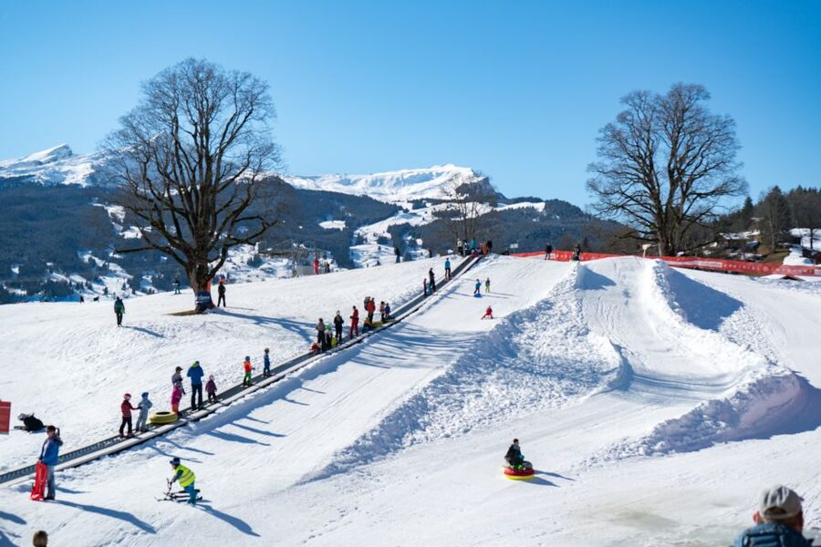 Grindelwald: Sledding at Bodmi Arena - Who will enjoy this most