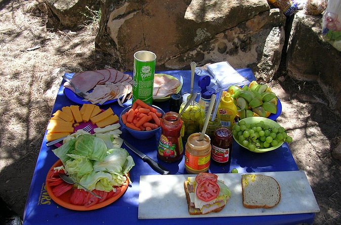 Half-Day Arkansas River - Browns Canyon Rafting Trip - Choosing morning or afternoon