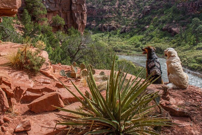 Half-Day Arkansas River - The Numbers Rafting Tour - Morning or Afternoon: Which Departure Works Best?