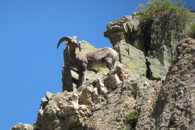 Half day Beg/Inter Rafting near Ft Collins - Estes Park - Boulder - What $99 buys you