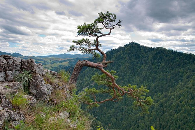Half-Day Dunajec River Rafting tour from Krakow - Key points to know before booking