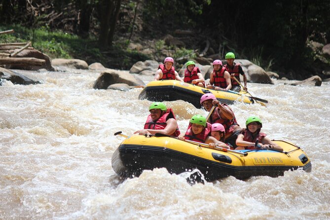 Half Day Elephant care and Whitewater Rafting Adventure - What ethical care means here