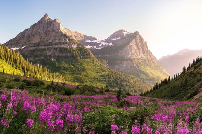 Half-Day Glacier National Park Whitewater Rafting Adventure - Key points to know before you book