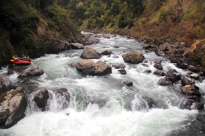 Half Day, Grade 5, White Water Rafting on the Rangitikei River - The guides, the scenery, and the sense of teamwork