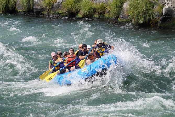 Half-Day Guided Whitewater Rafting - Deschutes River - Class III and IV rapids, with room to choose your pace