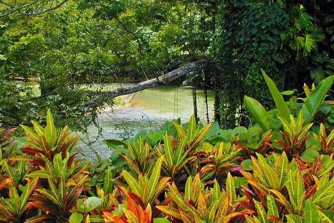 Half-Day Martha Brae Rafting Tour with Pickup Included - Who will enjoy this Martha Brae outing