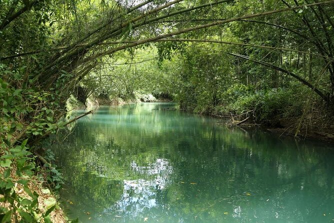 Half-Day Martha Brae Rafting Tour with Pickup Included - Timing, group size, and practical planning