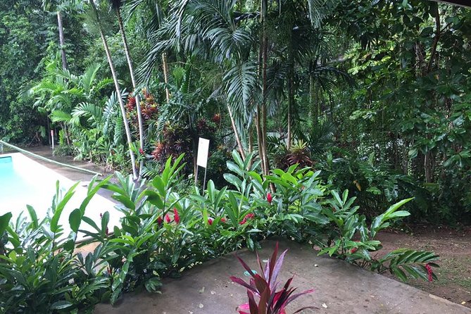 Half-Day Private Martha Brae Rafting Tour from Montego Bay - Jerk food at Scotchies Drax Hall