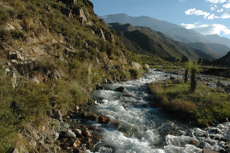 Half Day Rafting Mendoza River - Rafting 12 km through Class 2 and 3 rapids