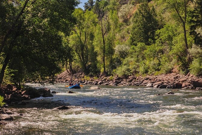 Half Day Roaring Fork Rafting - Who should book this rafting trip