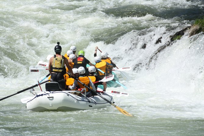 Half Day Rogue River White Water (Class I- IV) - Choosing between stern-drive and paddle boating