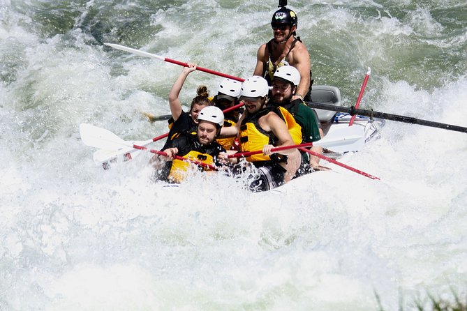 Half Day Rogue River White Water (Class I- IV) - Guides who make a practical difference