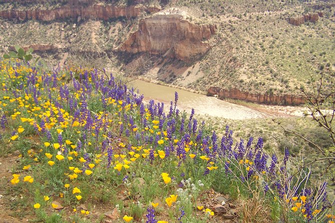 Half-Day Salt River Raft Trip - What the customer feedback tells me