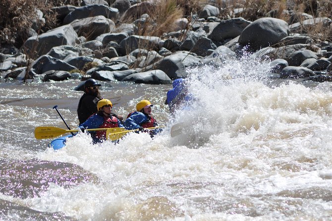 Half-Day Salt River Raft Trip - Why beginners and families may like it