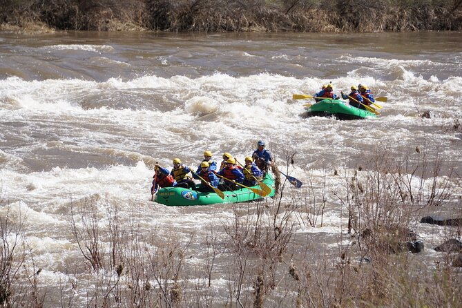 Half-Day Salt River Whitewater Rafting - What the price means in practical terms