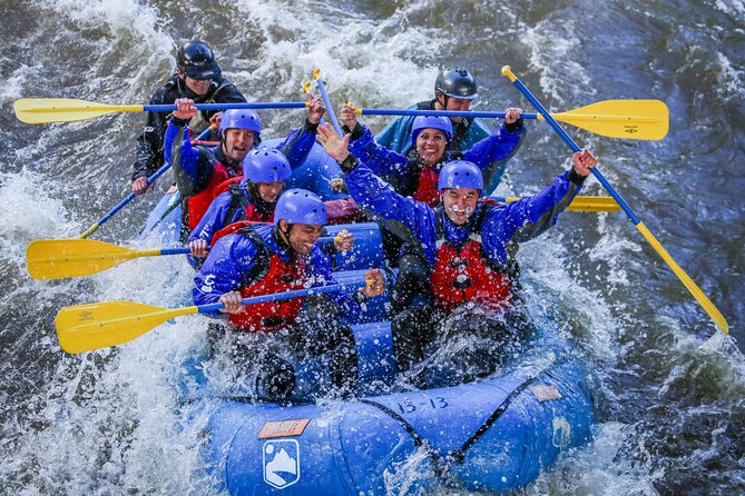 Half Day Shoshone Rafting in Glenwood Springs - Key points at a glance