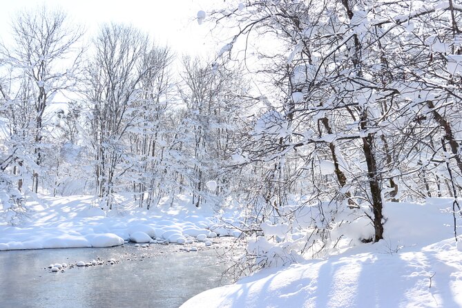 Half Day - Snow View Rafting in Niseko - What can change on the day