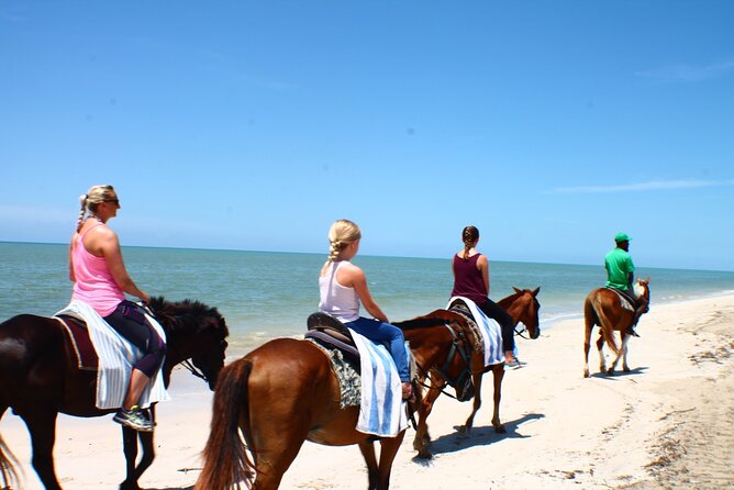 Horseback Ride ATV and Bamboo Rafting Tour Ocho Rios in Jamaica - Why the private format can be worth it