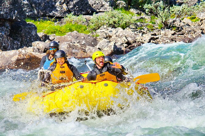 Intermediate Difficulty Level Rafting Experience in Dagali - Key points to know before you book