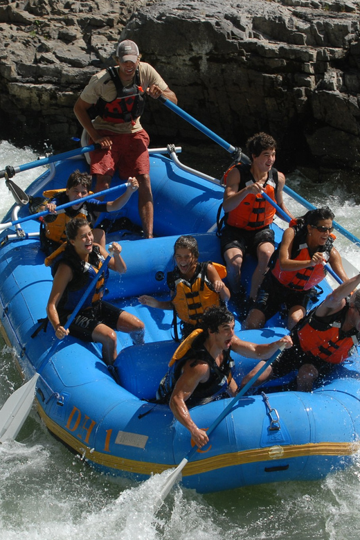 Jackson: 4-Hour Small Boat Snake River Whitewater Rafting - Key points before you book