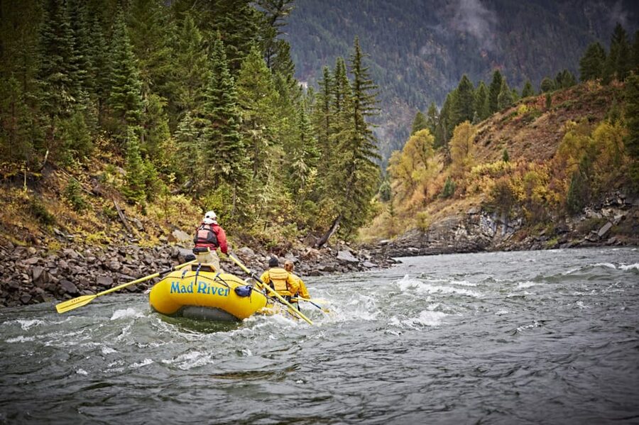 Jackson: 8-Mile Classic Boat Whitewater Rafting Trip - A classic Snake River trip with real whitewater