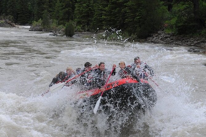 Jackson Hole Whitewater Rafting Small Boat - Is this a good first whitewater trip?