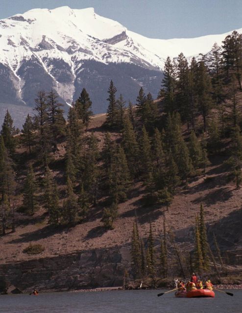 Jasper: Jasper National Park Easy 2-Hour Rafting Trip - Dogs and departure choices
