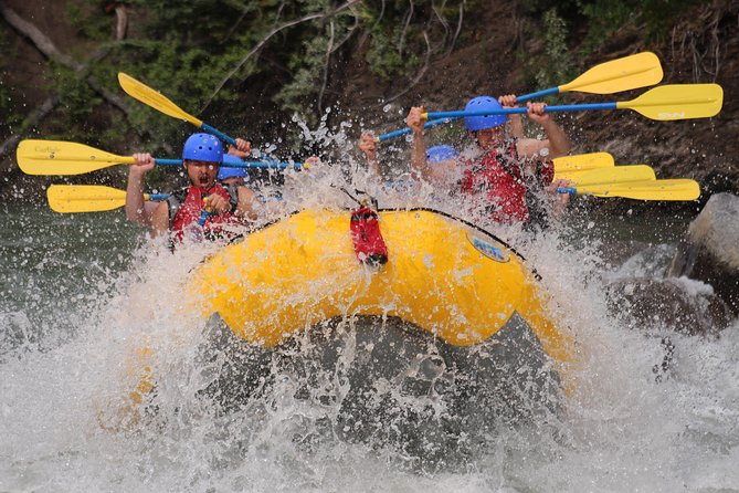 Kananaskis River Rafting Adventure - Scenery, wildlife, and the best seat in the valley