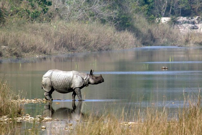 Kathmandu Pokhara & Chitwan Tour with Rafting -8 Days - Day 2: Kathmandu’s sacred and royal landmarks