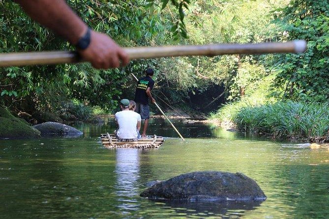 Khao Lak: Bamboo Rafting & Sea Turtle Conservation Center - A calm way to see Khao Lak’s jungle