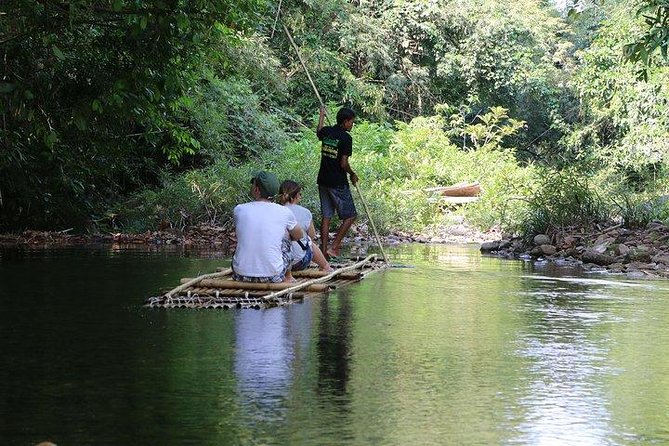 Khao Lak: Bamboo Rafting & Sea Turtle Conservation Center - The turtle center and its conservation work