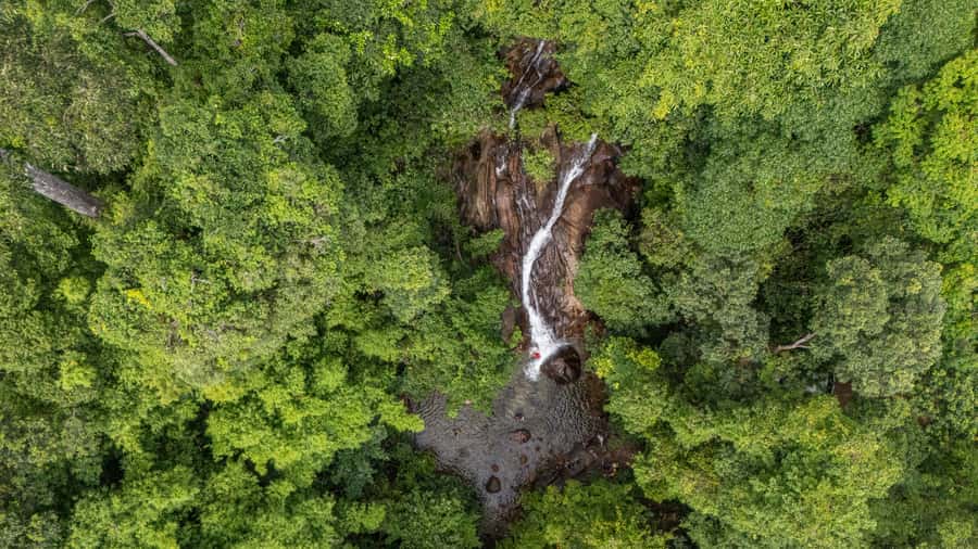 Khao Lak: Elephant Camp, Bamboo Rafting, and Waterfall Tour - Ton Pring Waterfall and a jungle swim