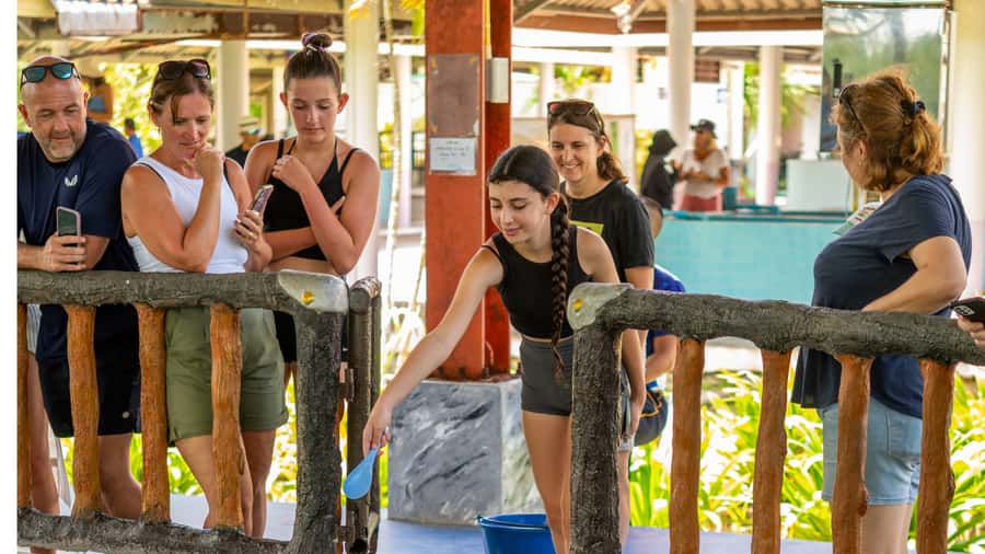 Khao Lak: Elephant Camp, Bamboo Rafting, and Waterfall Tour - Is the tour good value?