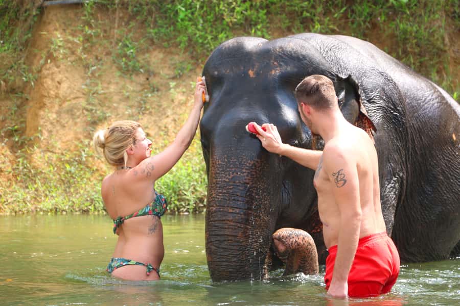 Khao Lak: Khao Sok Bamboo Rafting and Elephant Bathing Trip - Thai lunch beside the river