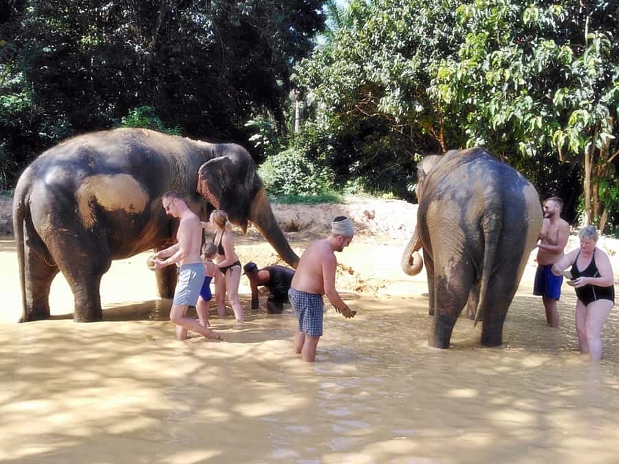 Khao Lak: Khao Sok Private Ethical Elephants & Rafting - From Khao Lak to Khao Sok in one day