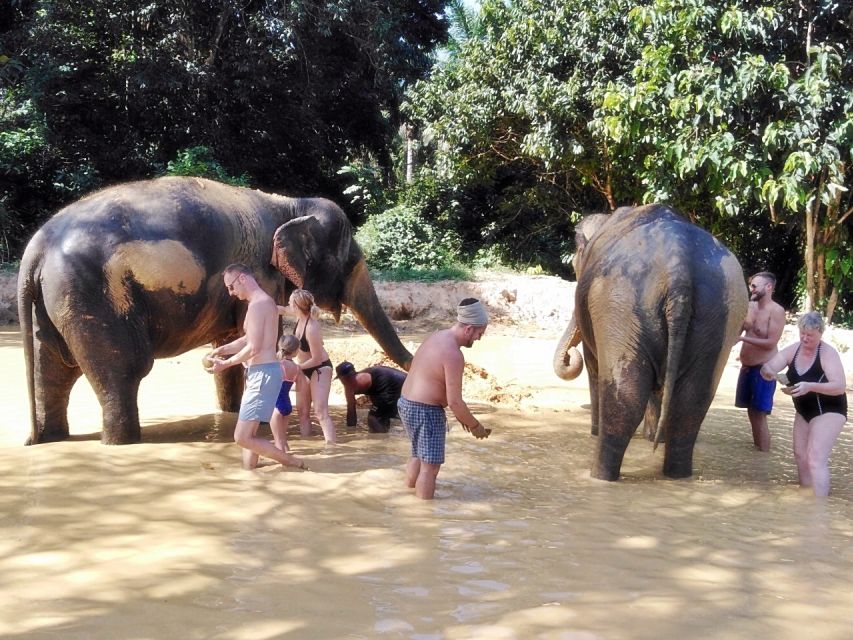 Khao Lak: Khao Sok Private Ethical Elephants & Rafting - Should you book this Khao Lak day trip?