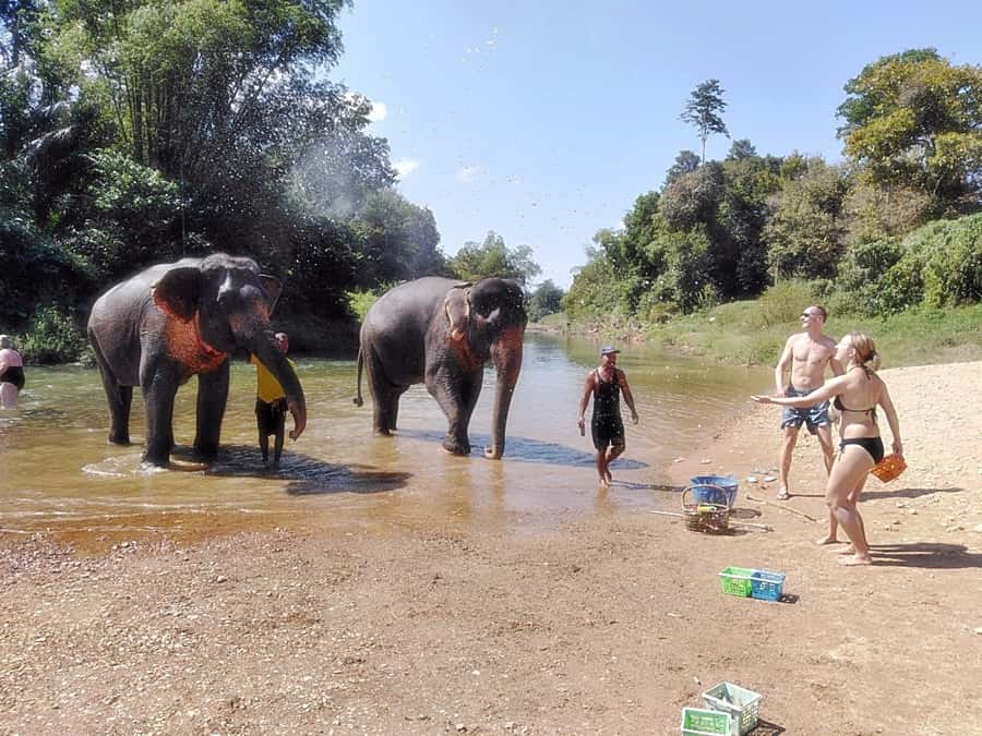 Khao Lak: Khao Sok Private Ethical Elephants & Rafting - Takua Pa market and the first taste of southern Thailand